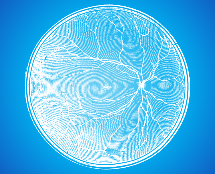 Retina Examination